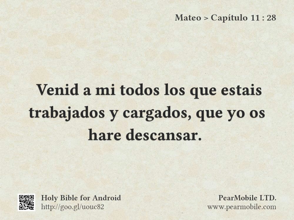 Mateo, Capítulo 11:28